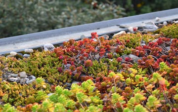 the cost of Copp green roof installation