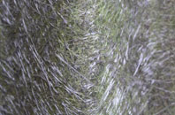 Copp fibreglass roof work